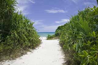 photo,material,free,landscape,picture,stock photo,Creative Commons,A way to a beach, sand bar, beach, blue sky, 