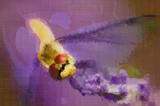 illust, matire, libre, paysage, image, le tableau, crayon de la couleur, colorie, en tirant,C'est une libellule  une lavande, libellule, , , plume
