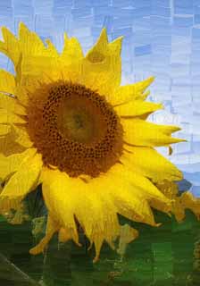 illust, matire, libre, paysage, image, le tableau, crayon de la couleur, colorie, en tirant,Un tournesol digne, tournesol, , , Jaune