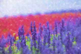 Illust, materieel, vrij, landschap, schilderstuk, schilderstuk, kleuren potlood, crayon, werkje,Een blauw sage, Lavendelblauw, Bloementuin, Blauwige viooltje, Kruid