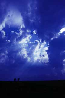 photo, la matire, libre, amnage, dcrivez, photo de la rserve,Lumire de l'vangile, nuage, ligne lgre, voix du ciel, ligne d'arbres