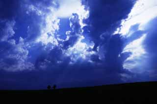 photo,material,free,landscape,picture,stock photo,Creative Commons,Light of the Gospel, cloud, light line, voice of the sky, row of trees