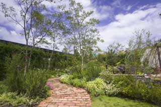 photo,material,free,landscape,picture,stock photo,Creative Commons,A gardening path, Gardening, brick, , garden tree