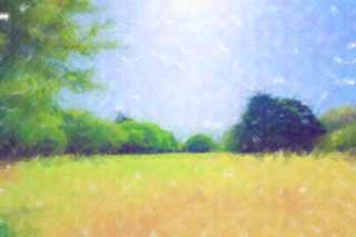 illustration,material,free,landscape,picture,painting,color pencil,crayon,drawing,A lawn of a park, lawn, , open space, tree