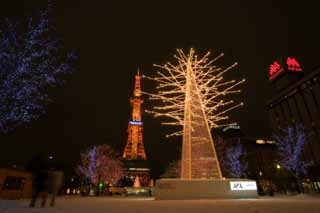 Foto, materieel, vrij, landschap, schilderstuk, bevoorraden foto,De avond van een hoofdstraat park, Illumineringen, Elektrisch golf toren, Park, Maak