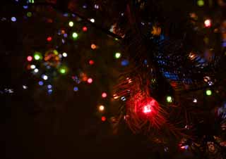 photo,material,free,landscape,picture,stock photo,Creative Commons,Christmas illuminations, Illuminations, Illumination, light, light