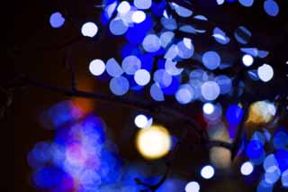 photo,material,free,landscape,picture,stock photo,Creative Commons,Christmas illuminations, Illuminations, Illumination, light, light