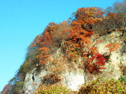 photo, la matire, libre, amnage, dcrivez, photo de la rserve,Prcipice en l'automne, feuilles de l'automne, , , 