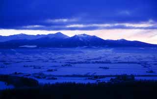 foto,tela,gratis,paisaje,fotografa,idea,El amanecer de Furano, Campo cubierto de nieve, Montaa, rbol, Campo