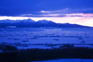 fotografia, materiale, libero il panorama, dipinga, fotografia di scorta,Il lo spuntar del giorno di Furano, campo nevoso, montagna, albero, campo