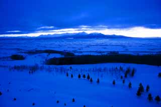 Foto, materieel, vrij, landschap, schilderstuk, bevoorraden foto,De dageraad van Furano, Besneeuwd veld, Berg, Boom, Veld