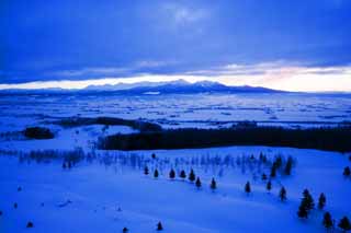 Foto, materieel, vrij, landschap, schilderstuk, bevoorraden foto,De dageraad van Furano, Besneeuwd veld, Berg, Boom, Veld