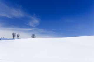 Foto, materieel, vrij, landschap, schilderstuk, bevoorraden foto,Een snowy veld, Besneeuwd veld, Berg, Boom, Blauwe lucht
