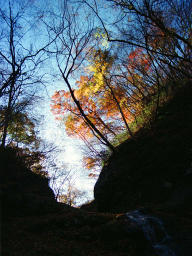 Foto, materiell, befreit, Landschaft, Bild, hat Foto auf Lager,Schweigsames Tal in Herbst, Herbst geht, blauer Himmel, , 