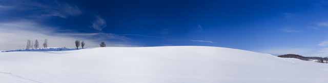 fotografia, materiale, libero il panorama, dipinga, fotografia di scorta,Un campo nevoso, campo nevoso, montagna, albero, cielo blu