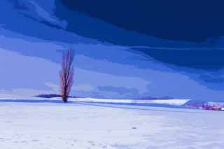illustration,material,free,landscape,picture,painting,color pencil,crayon,drawing,A snowy field, snowy field, mountain, tree, blue sky