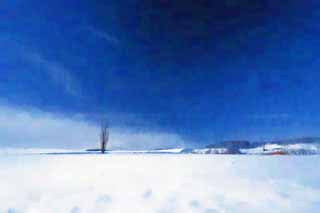 illust,tela,gratis,paisaje,fotografa,idea,pintura,Lpiz de color,dibujo,Un campo cubierto de nieve, Campo cubierto de nieve, Montaa, rbol, Cielo azul