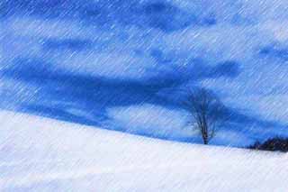 Illust, materieel, vrij, landschap, schilderstuk, schilderstuk, kleuren potlood, crayon, werkje,Een snowy veld, Besneeuwd veld, Berg, Boom, Blauwe lucht