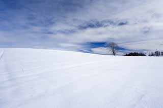 photo,material,free,landscape,picture,stock photo,Creative Commons,A snowy field, snowy field, mountain, tree, blue sky