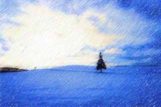 illustration,material,free,landscape,picture,painting,color pencil,crayon,drawing,A snowy field of a Christmas tree, snowy field, cloud, tree, blue sky