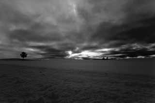 fotografia, materiale, libero il panorama, dipinga, fotografia di scorta, una nube in un campo nevoso, campo nevoso, nube, albero, albero di genitore e bambino