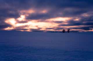 photo,material,free,landscape,picture,stock photo,Creative Commons,Dusk of a snowy field, snowy field, cloud, tree, The sun