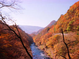 Foto, materiell, befreit, Landschaft, Bild, hat Foto auf Lager,Agatsuma Valley in Herbst, Herbst geht, , , 