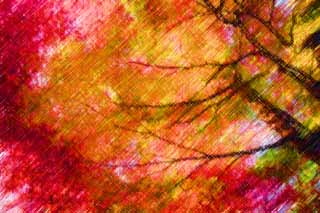 illustration,material,free,landscape,picture,painting,color pencil,crayon,drawing,Maple is deep red, Maple, Red, branch, Yellow