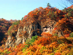 fotografia, materiale, libero il panorama, dipinga, fotografia di scorta,Fogliame di autunno su un precipizio, foglie di autunno, , , 