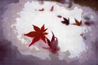 illustration,material,free,landscape,picture,painting,color pencil,crayon,drawing,Snow and red leaves, It is snowy, Red, maple, Maple