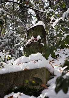 Foto, materieel, vrij, landschap, schilderstuk, bevoorraden foto,Het is snowy naar een beschermer deity van kindereni, Stenig standbeeld, Besneeuwd veld, Mos is rauw, 