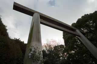 photo,material,free,landscape,picture,stock photo,Creative Commons,Atsuta-jingu Shrine torii, Shinto shrine, torii, The gate, Religion