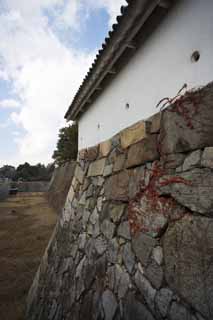 fotografia, materiale, libero il panorama, dipinga, fotografia di scorta,Nagoya-jo il Castello, fossato, castello, muro di castello, Ishigaki