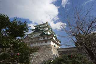 fotografia, materiale, libero il panorama, dipinga, fotografia di scorta,Nagoya-jo il Castello, picca di balena mortale, castello, La torre di castello, 