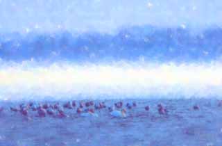 illust, matire, libre, paysage, image, le tableau, crayon de la couleur, colorie, en tirant,Hiver de lac Tohfutsu, cygne, mouette, Orteil de lac Hutu, C'est neigeux