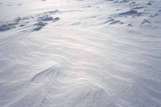 Foto, materieel, vrij, landschap, schilderstuk, bevoorraden foto,Een snowy zwachtelen-wrought knippatroon op de zanden in, Wind-wrought knippatroon op de zanden, Besneeuwd veld, Wind, 