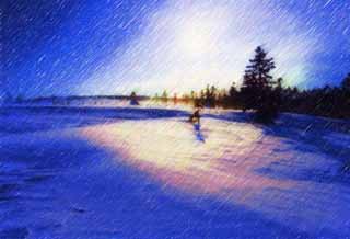 Illust, materieel, vrij, landschap, schilderstuk, schilderstuk, kleuren potlood, crayon, werkje,Bomen van een snowy veld, Besneeuwd veld, Naaldboom, De zon, Ik ben koud