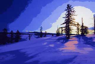 illustration,material,free,landscape,picture,painting,color pencil,crayon,drawing,Trees of a snowy field, snowy field, conifer, The sun, I am cold