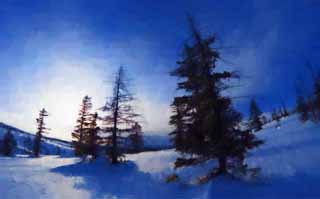 illustration,material,free,landscape,picture,painting,color pencil,crayon,drawing,Trees of a snowy field, snowy field, conifer, The sun, I am cold