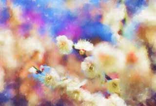 illust,tela,gratis,paisaje,fotografa,idea,pintura,Lpiz de color,dibujo,Una ciruela est en el orgullo lleno, Prame, Ciruela, , Jardn de ciruela