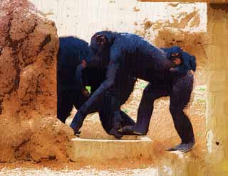 illust,tela,gratis,paisaje,fotografa,idea,pintura,Lpiz de color,dibujo,Padre y nio de un chimpanc, Chimpanc, Un simio antropoide, Mono, Beb