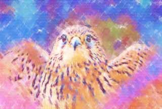 Illust, materieel, vrij, landschap, schilderstuk, schilderstuk, kleuren potlood, crayon, werkje,Een kestrel, , Kestrel, Raptores, 