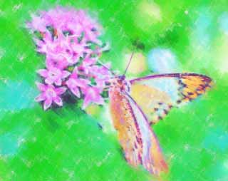 illustration,material,free,landscape,picture,painting,color pencil,crayon,drawing,A meal of a butterfly, butterfly, , , flower