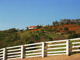 photo,material,free,landscape,picture,stock photo,Creative Commons,Pasture in autumn, fence, blue sky, , 