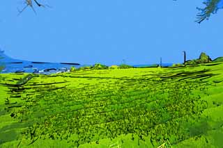 illust,tela,gratis,paisaje,fotografa,idea,pintura,Lpiz de color,dibujo,Una plantacin de t de Nihondaira, T, Plantacin de t, Hendidura, Hoja de t
