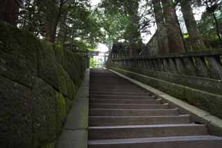 ,,, ,,,   Tosho-gu   ,  ., ., torii .  ,  .  