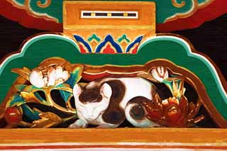 illust, material, livram, paisagem, quadro, pintura, lpis de cor, creiom, puxando,Um gato de sono de Santurio de Tosho-gu, durma gato, herana mundial, Jingoro Hidari, escultura em madeira