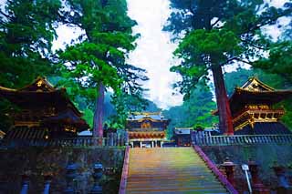 illust, , , , , ,  ,  , .,Tosho-gu Shrine   ,   ,  , ,  