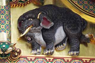 photo, la matire, libre, amnage, dcrivez, photo de la rserve,Un lphant d'imagination de Tosho-gu Temple, Un lphant d'imagination, Feuille de l'or, Un animal, 