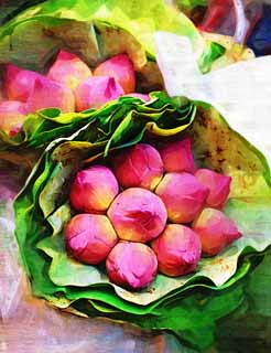 illustration,material,free,landscape,picture,painting,color pencil,crayon,drawing,A bouquet of a lotus, lotus, , , bouquet